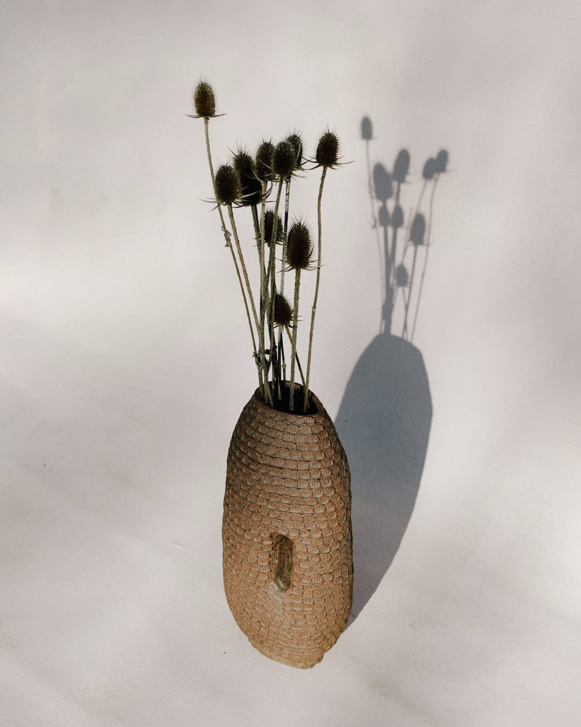 Coiled Window Vase
